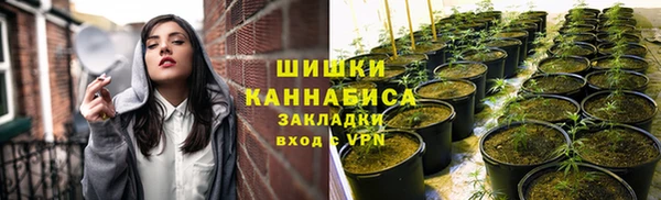 бутират Бородино