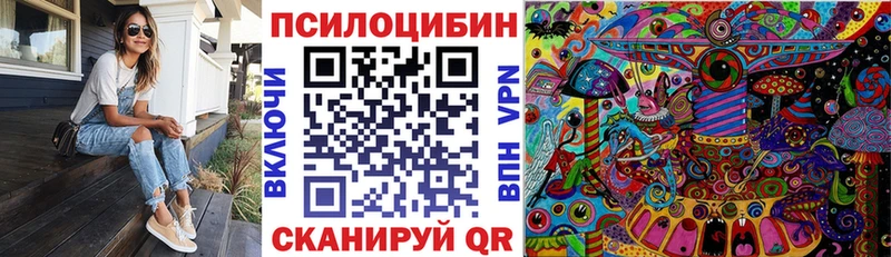 Купить где  Саранск  Галлюциногенные грибы Magic Shrooms 